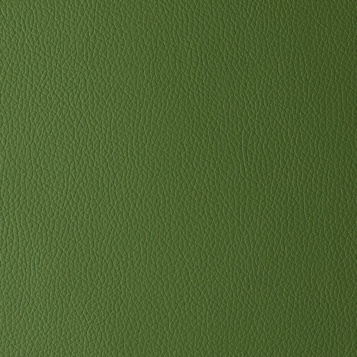 ALFA_FOREST